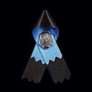 Meet your Posher, Krystle